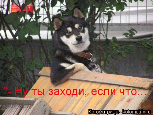 Котоматрица: "- Ну ты заходи, если что…"