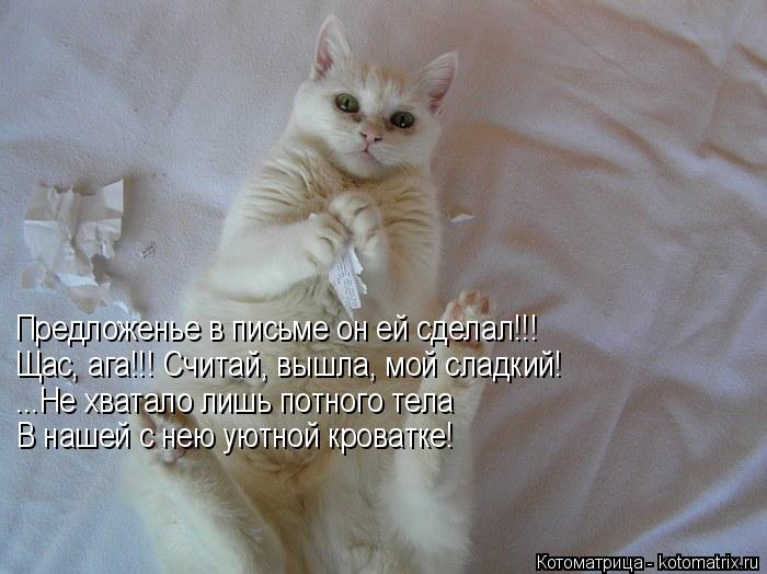 Предложенье в письме он ей сделал!!! Щас, ага!!! Считай, вышла, мой сладкий! ...Не хватало лишь потно... Котоматрица: Предложенье в письме он ей сделал!!! Щас, ага!!! Считай, вышла, мой сладкий! ...Не хватало лишь потного тела В нашей с нею уютной кроватке!