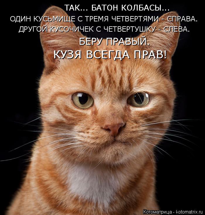 ТАК... БАТОН КОЛБАСЫ... ОДИН КУСЬМИЩЕ С ТРЕМЯ ЧЕТВЕРТЯМИ - СПРАВА. ДРУГОЙ КУСОЧИЧЕК С ЧЕТВЕРТУШКУ - С... Котоматрица: ТАК... БАТОН КОЛБАСЫ... ОДИН КУСЬМИЩЕ С ТРЕМЯ ЧЕТВЕРТЯМИ - СПРАВА. ДРУГОЙ КУСОЧИЧЕК С ЧЕТВЕРТУШКУ - СЛЕВА. БЕРУ ПРАВЫЙ. КУЗЯ ВСЕГДА ПРАВ!