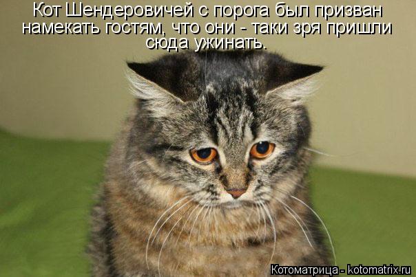 Кот Шендеровичей с порога был призван намекать гостям, что они - таки зря пришли сюда ужинать.... Котоматрица: Кот Шендеровичей с порога был призван намекать гостям, что они - таки зря пришли сюда ужинать.