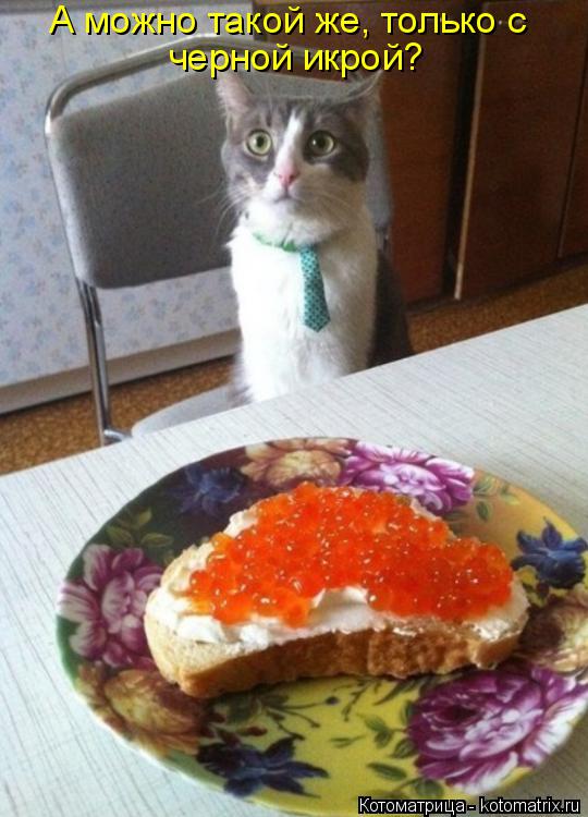 А можно такой же, только с черной икрой?... Котоматрица: А можно такой же, только с черной икрой?
