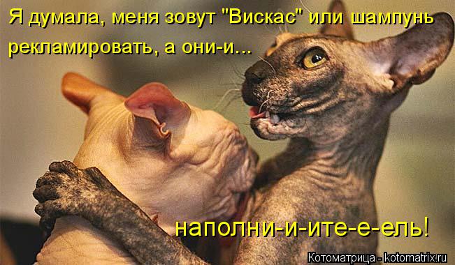 Я думала, меня зовут "Вискас" или шампунь рекламировать, а они-и... наполни-и-ите-е-ель!... Котоматрица: Я думала, меня зовут "Вискас" или шампунь рекламировать, а они-и... наполни-и-ите-е-ель!