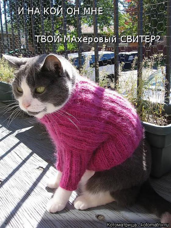 И НА КОЙ ОН МНЕ ТВОЙ МАхеровый СВИТЕР?... Котоматрица: И НА КОЙ ОН МНЕ ТВОЙ МАхеровый СВИТЕР?