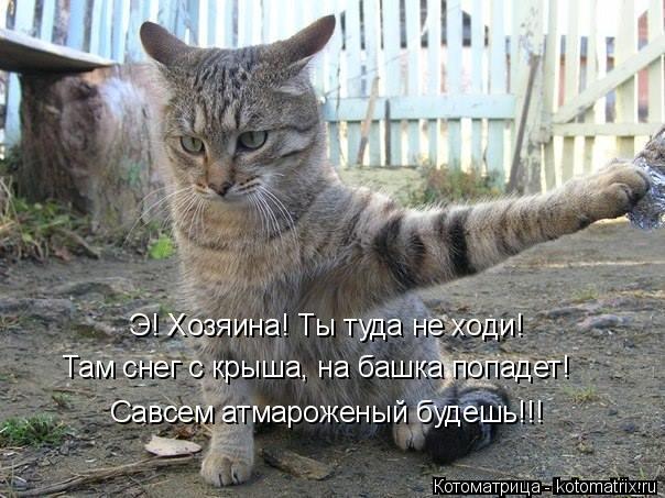 Э! Хозяина! Ты туда не ходи! Там снег с крыша, на башка попадет! Савсем атмароженый будешь!!!... Котоматрица: Э! Хозяина! Ты туда не ходи! Там снег с крыша, на башка попадет! Савсем атмароженый будешь!!!