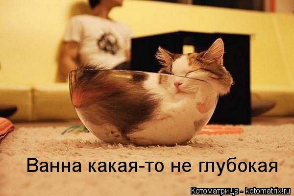 Котоматрица: Ванна какая-то не глубокая