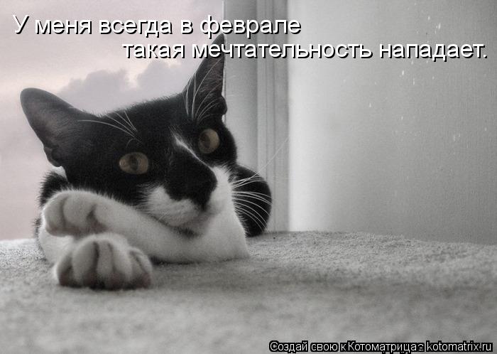 У меня всегда в феврале такая мечтательность нападает.... Котоматрица: У меня всегда в феврале такая мечтательность нападает.