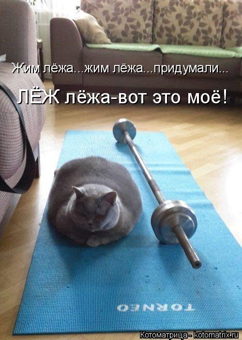 ЛЁЖ лёжа-вот это моё! Жим лёжа...жим лёжа...придумали...... Котоматрица: ЛЁЖ лёжа-вот это моё! Жим лёжа...жим лёжа...придумали...