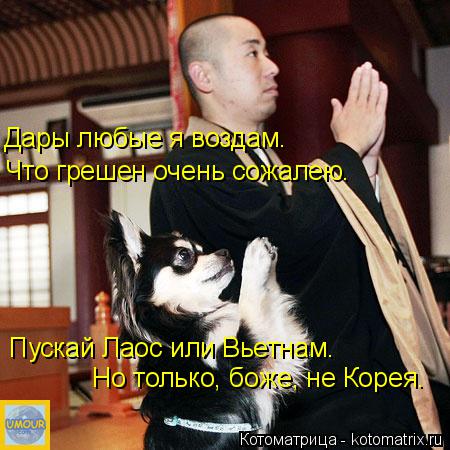 Дары любые я воздам. Что грешен очень сожалею. Пускай Лаос или Вьетнам. Но только, боже, не Корея.... Котоматрица: Дары любые я воздам. Что грешен очень сожалею. Пускай Лаос или Вьетнам. Но только, боже, не Корея.