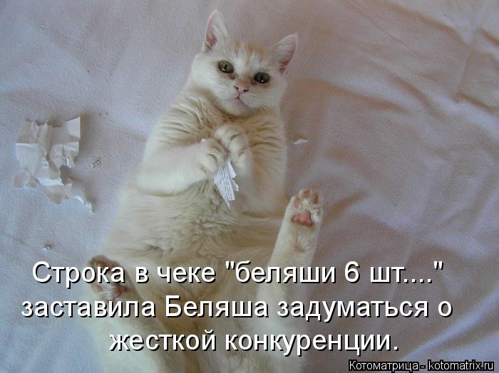 Строка в чеке "беляши 6 шт...." заставила Беляша задуматься о жесткой конкуренции.... Котоматрица: Строка в чеке "беляши 6 шт...." заставила Беляша задуматься о жесткой конкуренции.