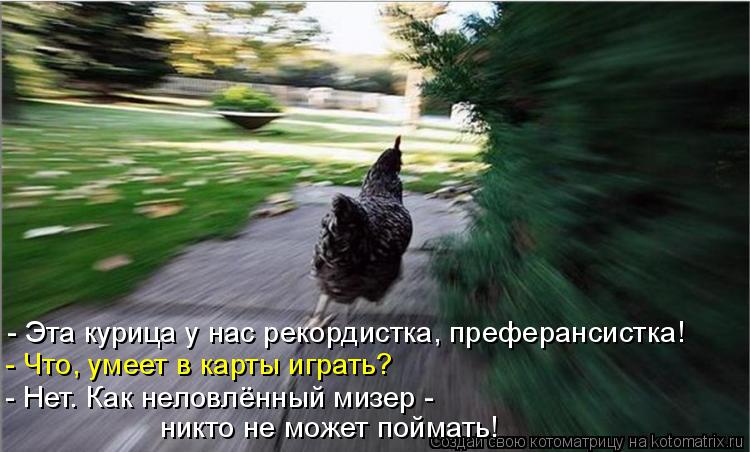 Котоматрица: - Эта курица у нас рекордистка, преферансистка! - Что, умеет в карты играть? - Нет. Как неловлённый мизер - никто не может поймать!