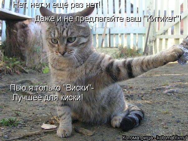 Пью я только "Виски"- Лучшее для киски! Даже и не предлагайте ваш "Китикет"! Нет, нет и ещё раз нет!... Котоматрица: Пью я только "Виски"- Лучшее для киски! Даже и не предлагайте ваш "Китикет"! Нет, нет и ещё раз нет!