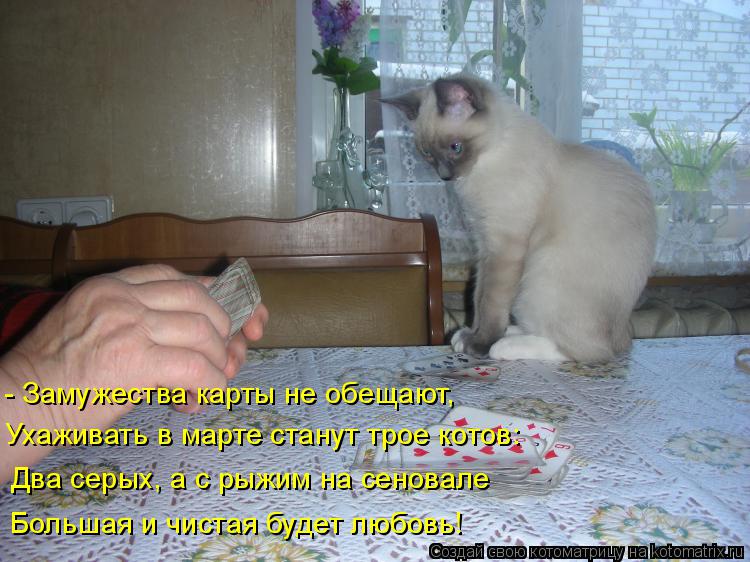 Котоматрица: - Замужества карты не обещают, Ухаживать в марте станут трое котов: Два серых, а с рыжим на сеновале Большая и чистая будет любовь!