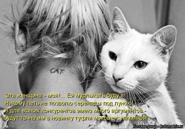 Котоматрица: Эта женщина - моя!... Ей мурлыкать буду я! Никому петь не позволю серенады под луною! Я для всяких конкурентов имею много аргументов - будут то