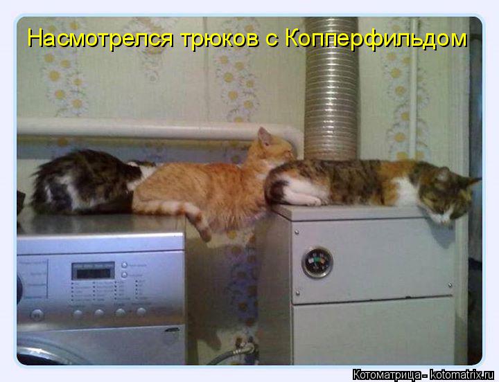 Котоматрица: Насмотрелся трюков с Копперфильдом