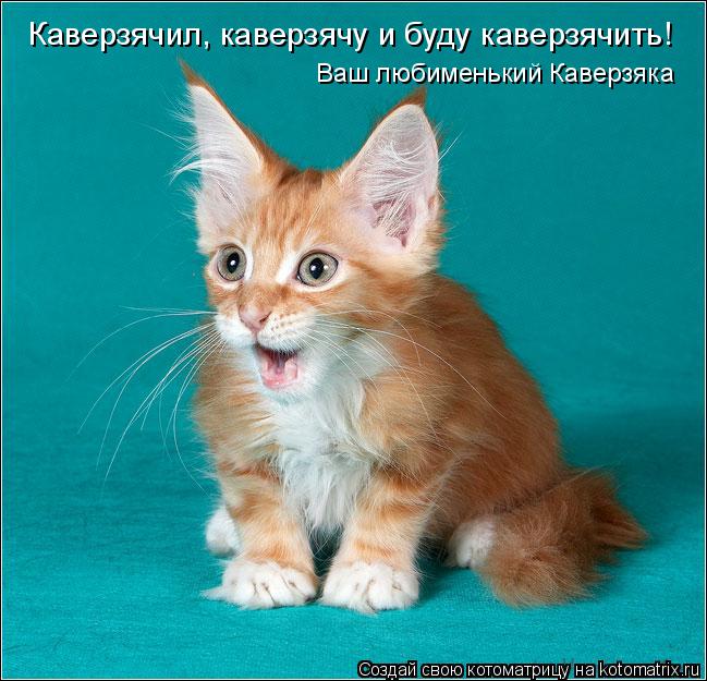 Каверзячил, каверзячу и буду каверзячить! Ваш любименький Каверзяка... Котоматрица: Каверзячил, каверзячу и буду каверзячить! Ваш любименький Каверзяка