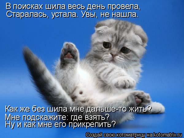 В поисках шила весь день провела, Старалась, устала. Увы, не нашла. Мне подскажите: где взять? Как ж... Котоматрица: В поисках шила весь день провела, Старалась, устала. Увы, не нашла. Мне подскажите: где взять? Как же без шила мне дальше-то жить? Ну и как мне