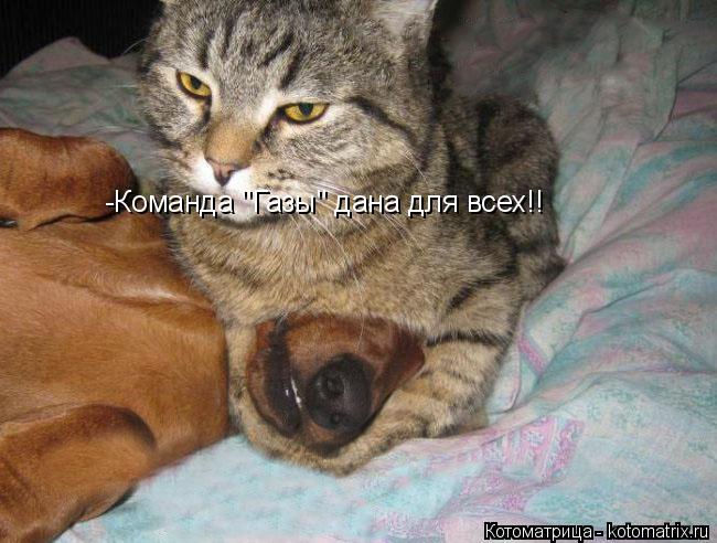 -Команда "Газы" дана для всех!!... Котоматрица: -Команда "Газы" дана для всех!!