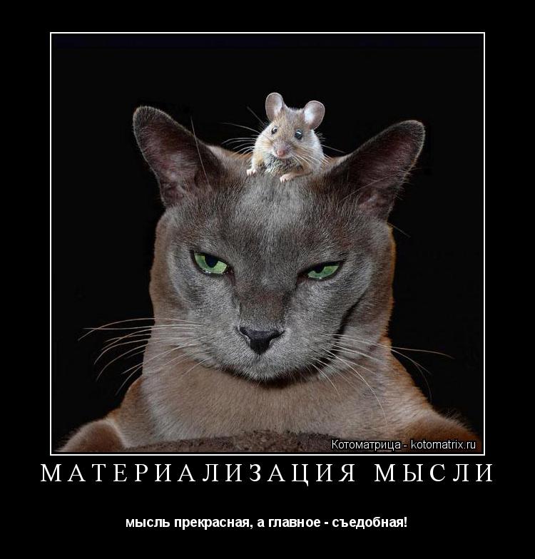 МАТЕРИАЛИЗАЦИЯ МЫСЛИ мысль прекрасная, а главное - съедобная!... Котоматрица: МАТЕРИАЛИЗАЦИЯ МЫСЛИ мысль прекрасная, а главное - съедобная!