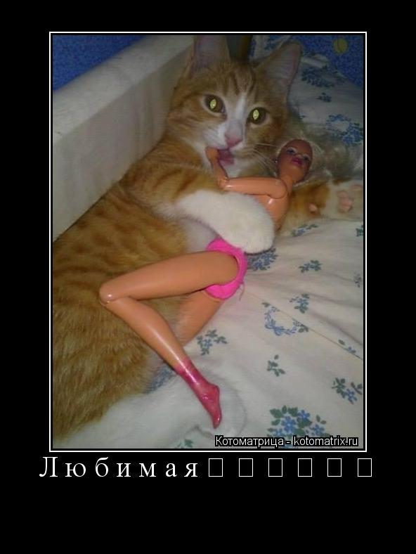 Любимая❤️❤️❤️ ... Котоматрица: Любимая❤️❤️❤️
