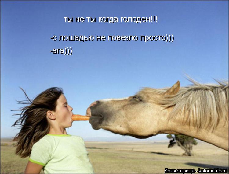 ты не ты когда голоден!!! -с лошадью не повезло просто))) -ага)))... Котоматрица: ты не ты когда голоден!!! -с лошадью не повезло просто))) -ага)))