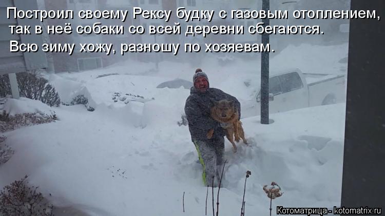 Построил своему Рексу будку с газовым отоплением, так в неё собаки со всей деревни сбегаются. Всю зим... Котоматрица: Построил своему Рексу будку с газовым отоплением, так в неё собаки со всей деревни сбегаются. Всю зиму хожу, разношу по хозяевам.