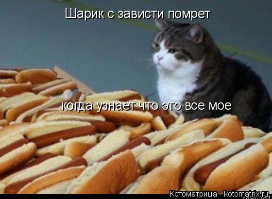Шарик с зависти помрет когда узнает что это все мое... Котоматрица: Шарик с зависти помрет когда узнает что это все мое