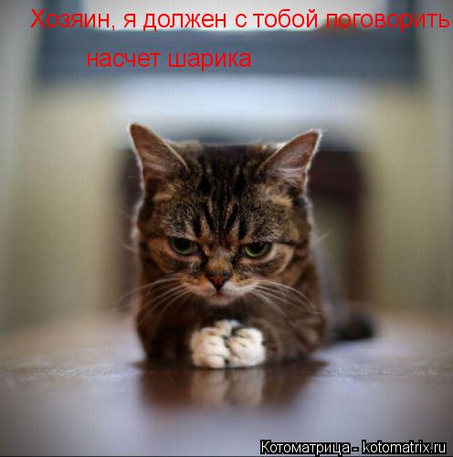 Хозяин, я должен с тобой поговорить насчет шарика... Котоматрица: Хозяин, я должен с тобой поговорить насчет шарика