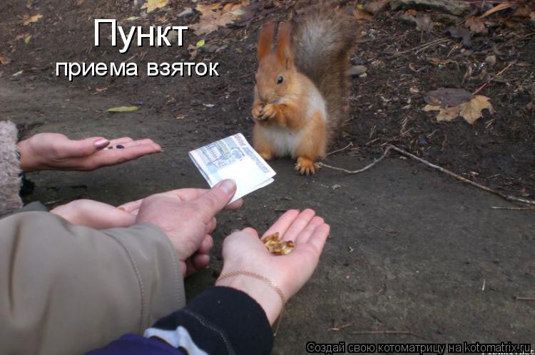 Котоматрица: Пункт  приема взяток