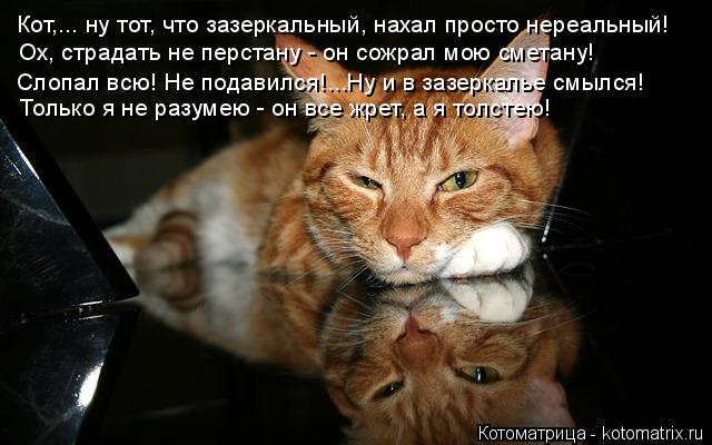 Кот,... ну тот, что зазеркальный, нахал просто нереальный! Ох, страдать не перстану - он сожрал мою с... Котоматрица: Кот,... ну тот, что зазеркальный, нахал просто нереальный! Ох, страдать не перстану - он сожрал мою сметану! Слопал всю! Не подавился!...Ну и в за