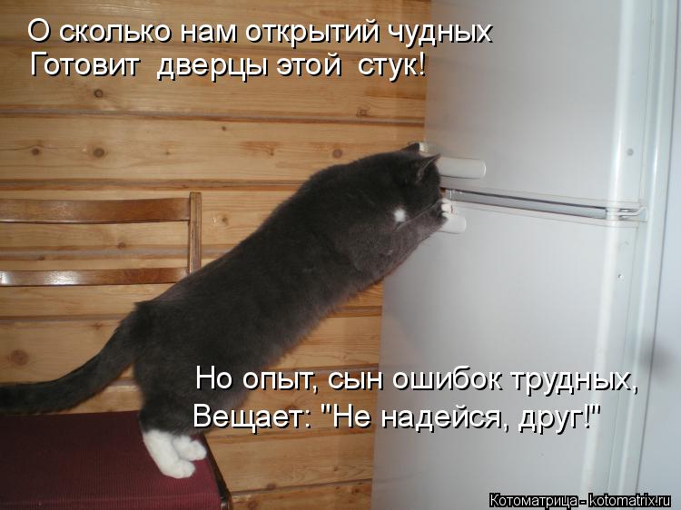 Котоматрица: О сколько нам открытий чудных Готовит  дверцы этой  стук! Но опыт, сын ошибок трудных, Вещает: "Не надейся, друг!"