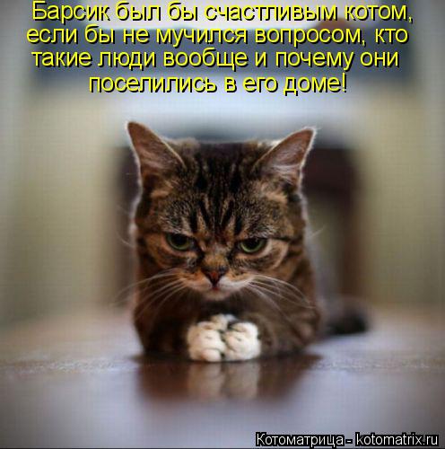 Барсик был бы счастливым котом, если бы не мучился вопросом, кто такие люди вообще и почему они пос... Котоматрица: Барсик был бы счастливым котом, если бы не мучился вопросом, кто такие люди вообще и почему они поселились в его доме!