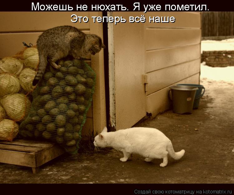 Котоматрица: Можешь не нюхать. Я уже пометил. Это теперь всё наше
