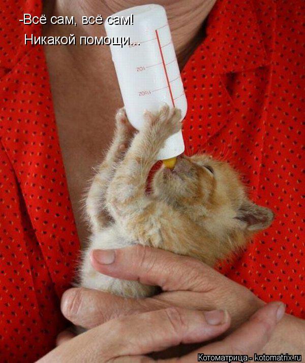 -Всё сам, всё сам! Никакой помощи...... Котоматрица: -Всё сам, всё сам! Никакой помощи...
