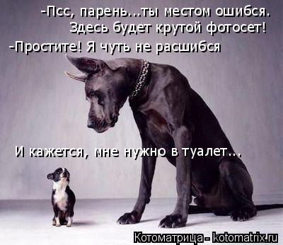 -Простите! Я чуть не расшибся -Псс, парень...ты местом ошибся. Здесь будет крутой фотосет! И кажется... Котоматрица: -Простите! Я чуть не расшибся -Псс, парень...ты местом ошибся. Здесь будет крутой фотосет! И кажется, мне нужно в туалет...