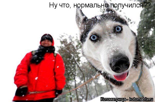 Котоматрица: Ну что, нормально получился??
