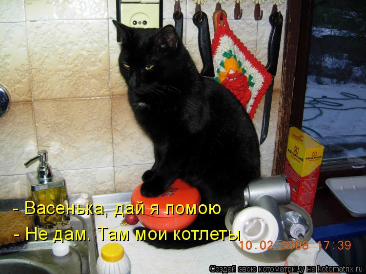 Котоматрица: - Васенька, дай я помою - Не дам. Там мои котлеты