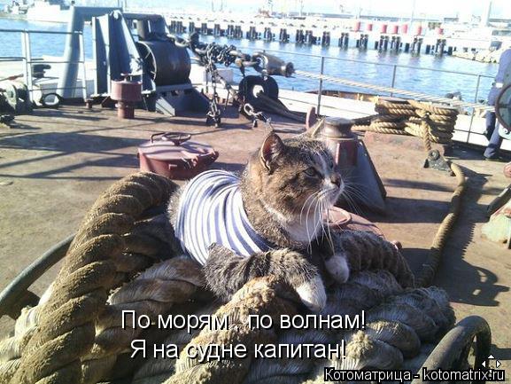 По морям , по волнам! Я на судне капитан!... Котоматрица: По морям , по волнам! Я на судне капитан!
