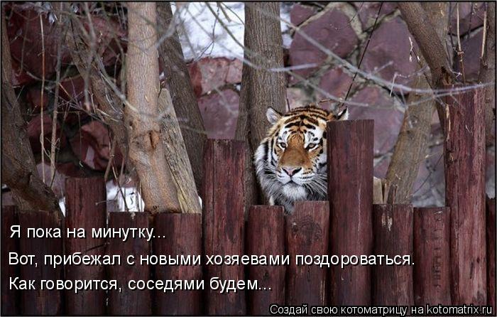 Как говорится, соседями будем... Вот, прибежал с новыми хозяевами поздороваться. Я пока на минутку...... Котоматрица: Как говорится, соседями будем... Вот, прибежал с новыми хозяевами поздороваться. Я пока на минутку...