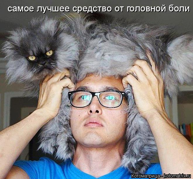 Котоматрица: самое лучшее средство от головной боли