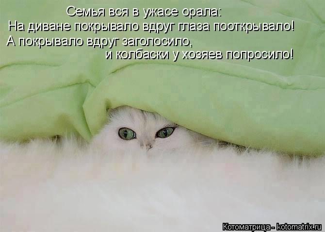 Котоматрица: Семья вся в ужасе орала: На диване покрывало вдруг глаза пооткрывало! А покрывало вдруг заголосило,  и колбаски у хозяев попросило!