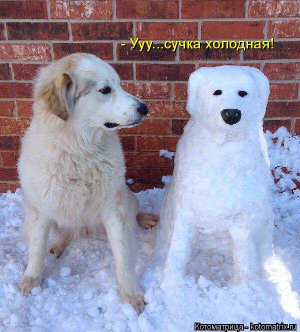 - Ууу...сучка холодная!... Котоматрица: - Ууу...сучка холодная!