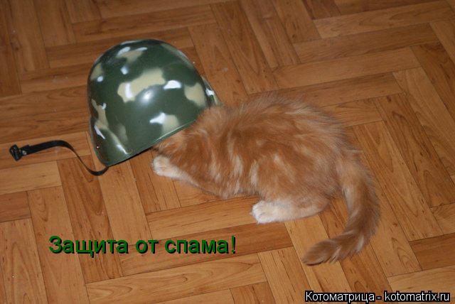 Защита от спама!... Котоматрица: Защита от спама!