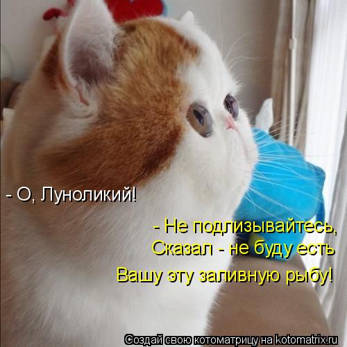 - О, Луноликий! - Не подлизывайтесь, Сказал - не буду есть Вашу эту заливную рыбу!... Котоматрица: - О, Луноликий! - Не подлизывайтесь, Сказал - не буду есть Вашу эту заливную рыбу!