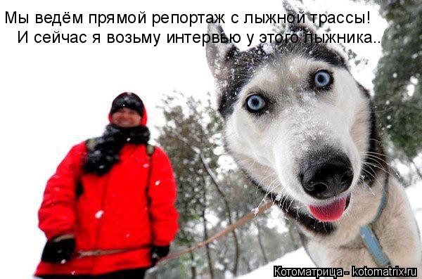 Мы ведём прямой репортаж с лыжной трассы! И сейчас я возьму интервью у этого лыжника ..... Котоматрица: Мы ведём прямой репортаж с лыжной трассы! И сейчас я возьму интервью у этого лыжника ..