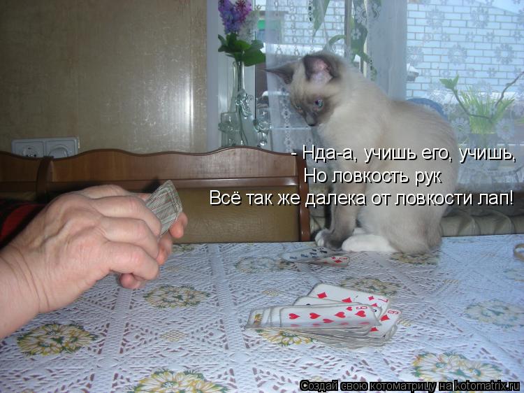 Котоматрица: - Нда-а, учишь его, учишь, Но ловкость рук Всё так же далека от ловкости лап!