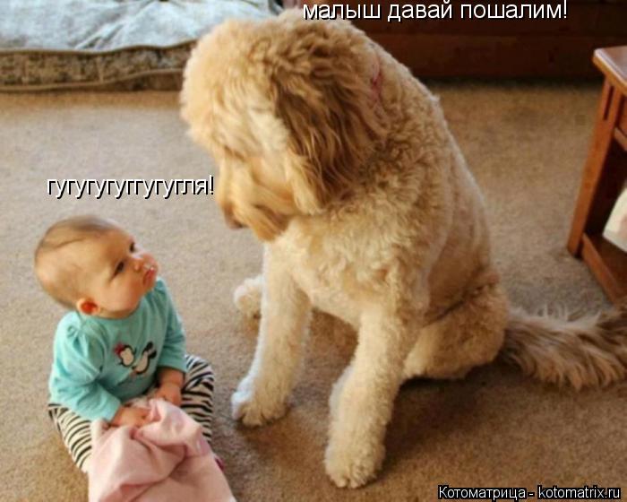 малыш давай пошалим! гугугугуггугугля!... Котоматрица: малыш давай пошалим! гугугугуггугугля!