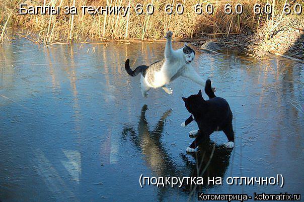 Баллы за технику: 6.0 6.0 6.0 6.0 6.0 6.0 (подкрутка на отлично!)... Котоматрица: Баллы за технику: 6.0 6.0 6.0 6.0 6.0 6.0 (подкрутка на отлично!)