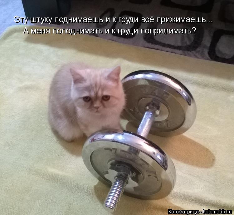 Эту штуку поднимаешь и к груди всё прижимаешь... А меня поподнимать и к груди поприжимать?... Котоматрица: Эту штуку поднимаешь и к груди всё прижимаешь... А меня поподнимать и к груди поприжимать?