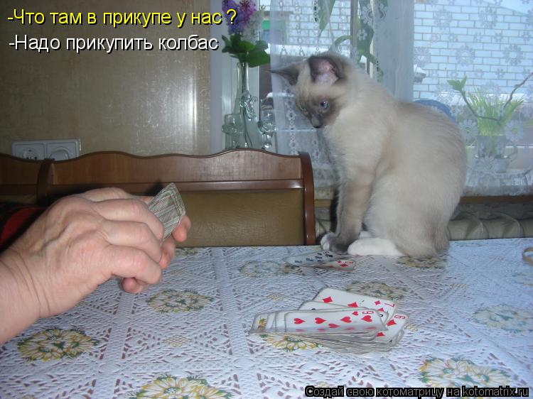 -Что там в прикупе у нас ? -Надо прикупить колбас... Котоматрица: -Что там в прикупе у нас ? -Надо прикупить колбас