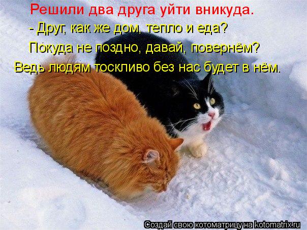 Покуда не поздно, давай, повернём? Ведь людям тоскливо без нас будет в нём. Решили два друга уйти вни... Котоматрица: Покуда не поздно, давай, повернём? Ведь людям тоскливо без нас будет в нём. Решили два друга уйти вникуда. - Друг, как же дом, тепло и еда?